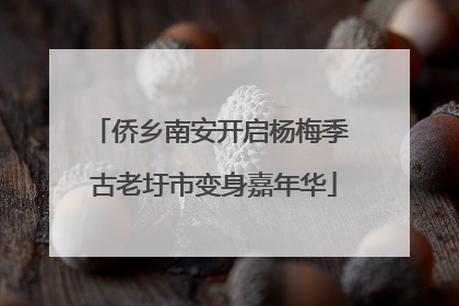 侨乡南安开启杨梅季 古老圩市变身嘉年华