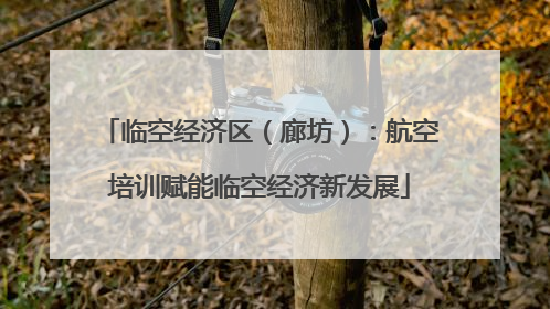 临空经济区（廊坊）：航空培训赋能临空经济新发展