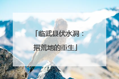 临武县伏水洞：撂荒地的重生