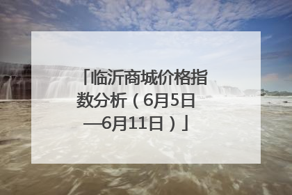 临沂商城价格指数分析（6月5日—6月11日）