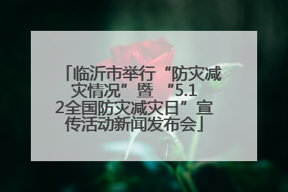 临沂市举行“防灾减灾情况”暨 “5.12全国防灾减灾日”宣传活动新闻发布会