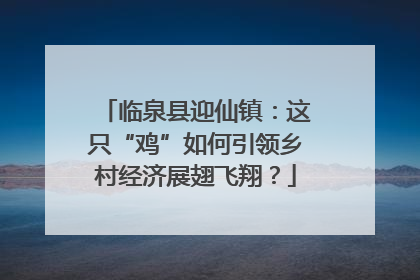 临泉县迎仙镇：这只“鸡”如何引领乡村经济展翅飞翔？