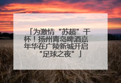 为激情“苏超”干杯！扬州青岛啤酒嘉年华在广陵新城开启“足球之夜”