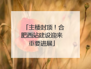 主楼封顶！合肥西站建设迎来重要进展