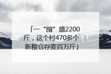 一“囤”盛2200斤，这个村470多个新粮仓存麦百万斤