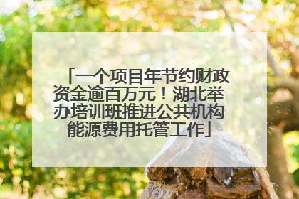 一个项目年节约财政资金逾百万元！湖北举办培训班推进公共机构能源费用托管工作
