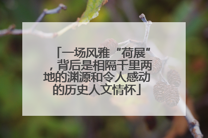 一场风雅“荷展”，背后是相隔千里两地的渊源和令人感动的历史人文情怀