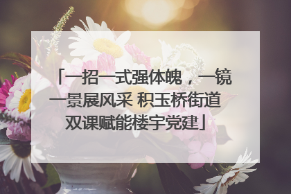 一招一式强体魄，一镜一景展风采 积玉桥街道双课赋能楼宇党建
