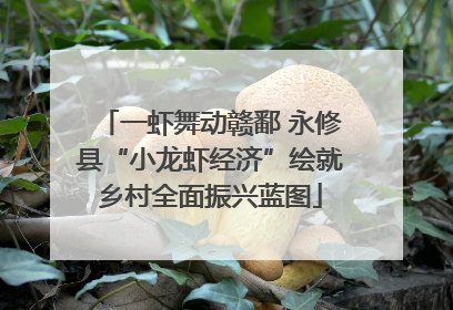 一虾舞动赣鄱 永修县“小龙虾经济”绘就乡村全面振兴蓝图