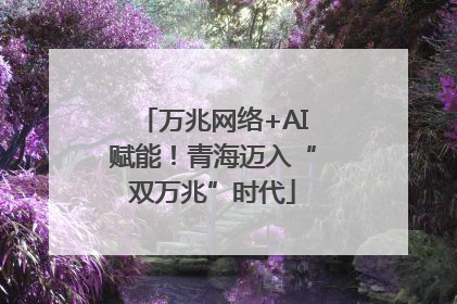 万兆网络+AI赋能！青海迈入“双万兆”时代