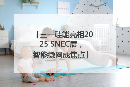 三一硅能亮相2025 SNEC展，智能微网成焦点