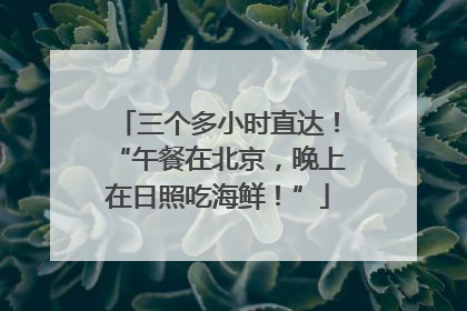三个多小时直达！“午餐在北京，晚上在日照吃海鲜！”