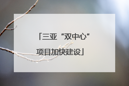三亚“双中心”项目加快建设