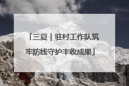 三夏｜驻村工作队筑牢防线守护丰收成果