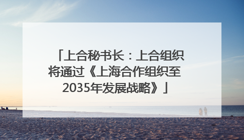 上合秘书长：上合组织将通过《上海合作组织至2035年发展战略》