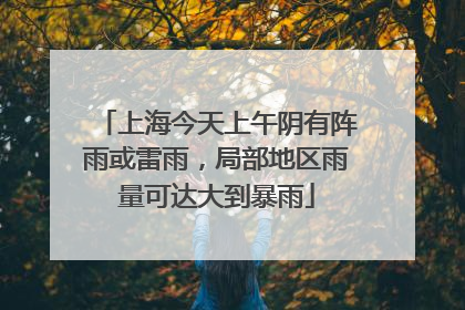 上海今天上午阴有阵雨或雷雨，局部地区雨量可达大到暴雨