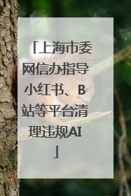 上海市委网信办指导小红书、B站等平台清理违规AI