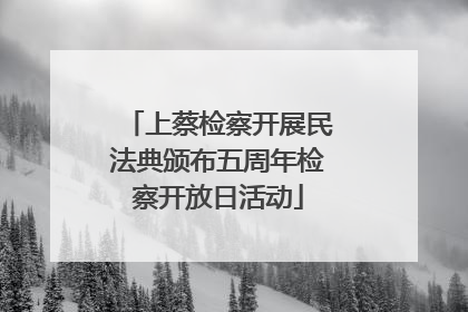 上蔡检察开展民法典颁布五周年检察开放日活动