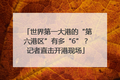 世界第一大港的“第六港区”有多“6”？记者直击开港现场