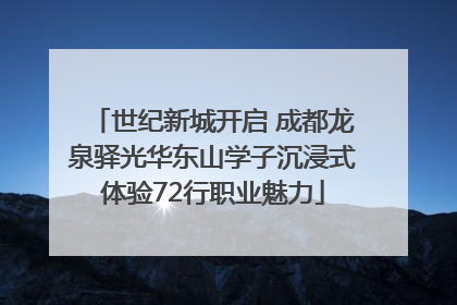 世纪新城开启 成都龙泉驿光华东山学子沉浸式体验72行职业魅力