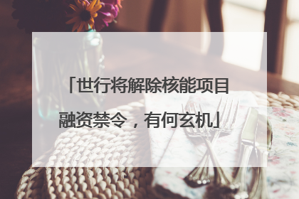 世行将解除核能项目融资禁令，有何玄机