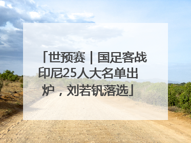 世预赛｜国足客战印尼25人大名单出炉，刘若钒落选
