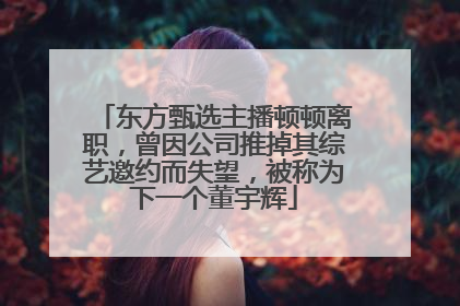 东方甄选主播顿顿离职，曾因公司推掉其综艺邀约而失望，被称为下一个董宇辉