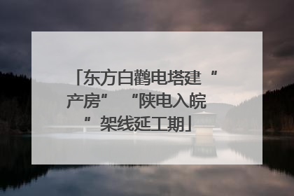 东方白鹳电塔建“产房” “陕电入皖”架线延工期