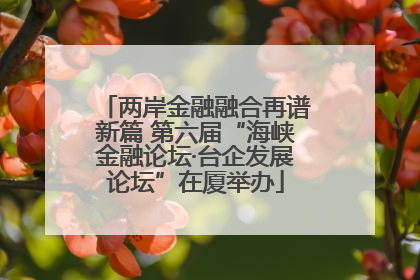 两岸金融融合再谱新篇 第六届“海峡金融论坛·台企发展论坛”在厦举办