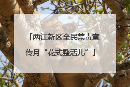 两江新区全民禁毒宣传月“花式整活儿”