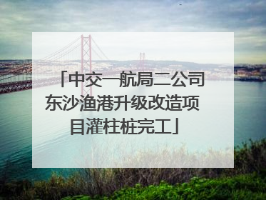 中交一航局二公司东沙渔港升级改造项目灌柱桩完工