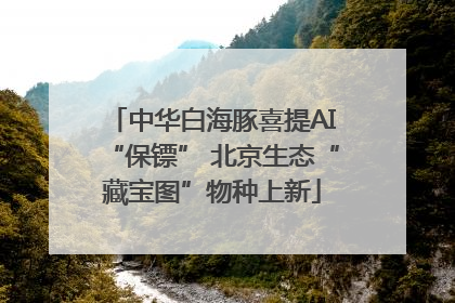 中华白海豚喜提AI“保镖” 北京生态“藏宝图”物种上新