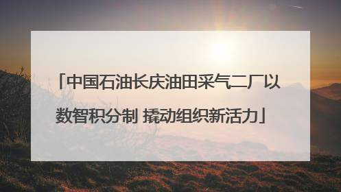 中国石油长庆油田采气二厂以数智积分制 撬动组织新活力