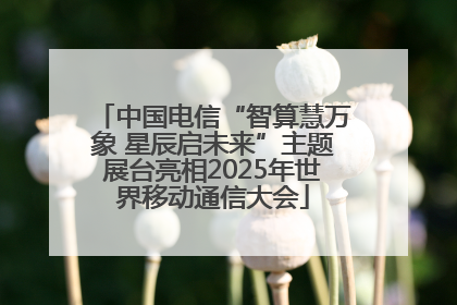 中国电信“智算慧万象 星辰启未来”主题展台亮相2025年世界移动通信大会