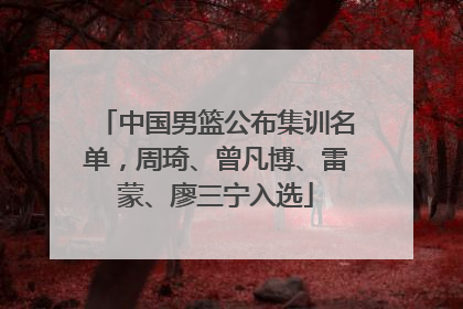 中国男篮公布集训名单，周琦、曾凡博、雷蒙、廖三宁入选