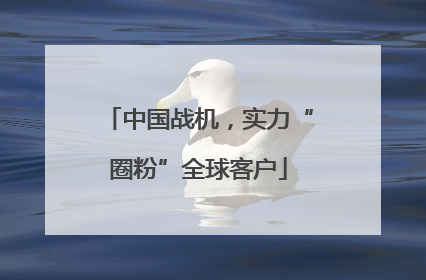 中国战机，实力“圈粉”全球客户