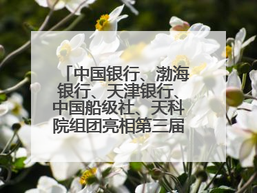 中国银行、渤海银行、天津银行、中国船级社、天科院组团亮相第三届天津国际航运展 输出航运服务“中国方案”