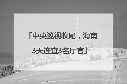 中央巡视收尾，海南3天连查3名厅官