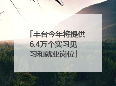 丰台今年将提供6.4万个实习见习和就业岗位