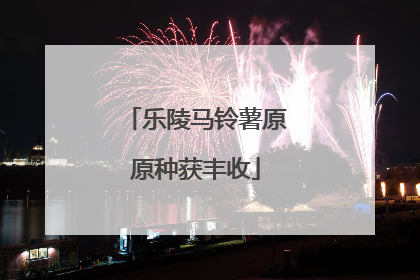 乐陵马铃薯原原种获丰收