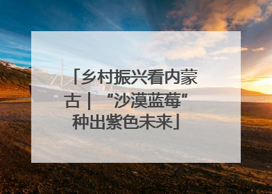 乡村振兴看内蒙古｜“沙漠蓝莓”种出紫色未来