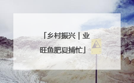 乡村振兴｜业旺鱼肥夏捕忙