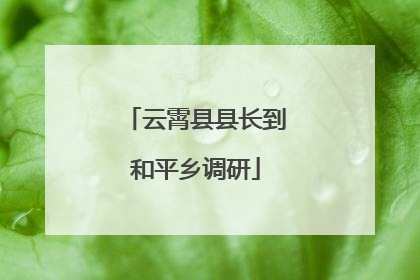 云霄县县长到和平乡调研