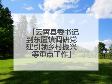 云霄县委书记到东厦镇调研党建引领乡村振兴等重点工作