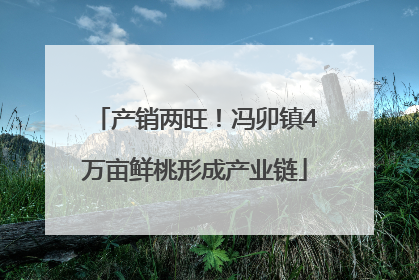 产销两旺！冯卯镇4万亩鲜桃形成产业链