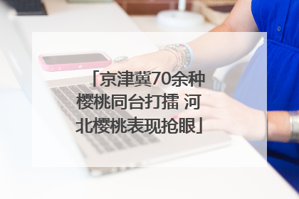 京津冀70余种樱桃同台打擂 河北樱桃表现抢眼