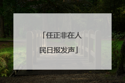 任正非在人民日报发声