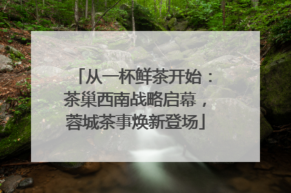 从一杯鲜茶开始：茶巢西南战略启幕，蓉城茶事焕新登场