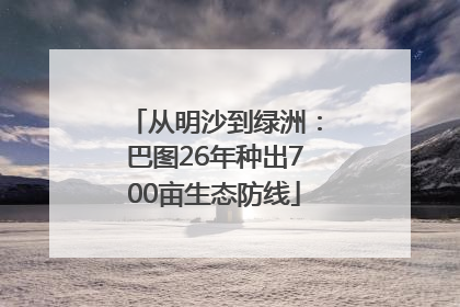 从明沙到绿洲：巴图26年种出700亩生态防线