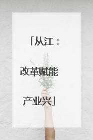 从江：改革赋能产业兴